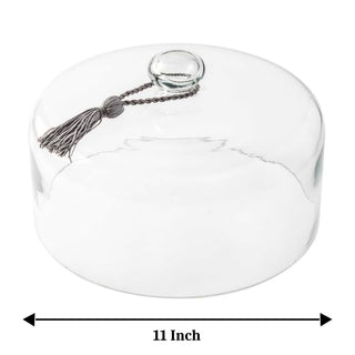 Cylindrical Glass Cloche (11 Inches)