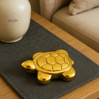 Pyrite Turtle