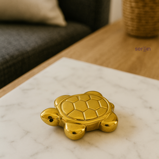 Pyrite Turtle