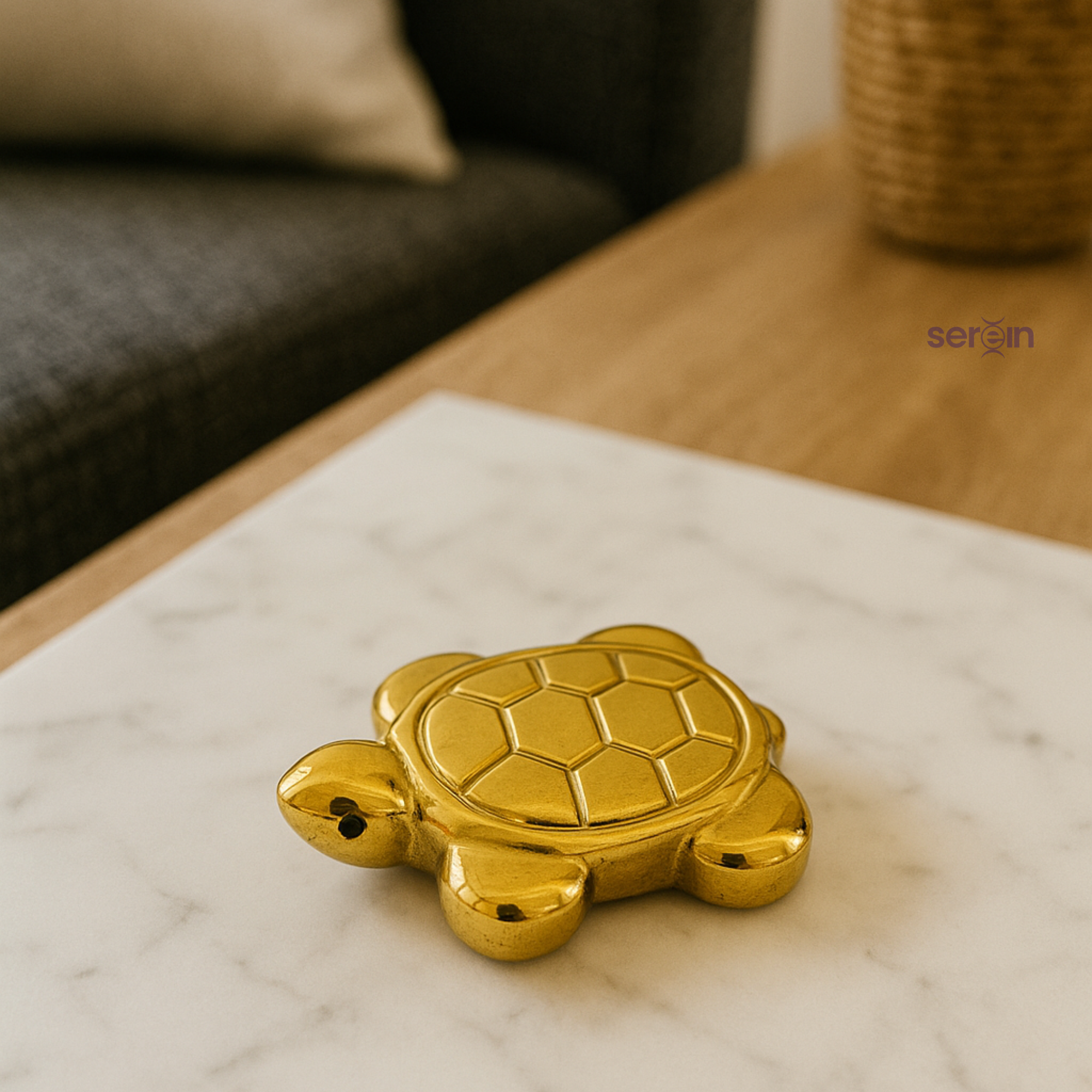 Pyrite Turtle