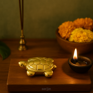 Pyrite Turtle